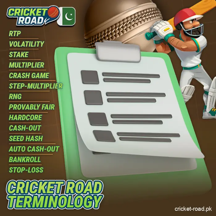 Terminology for Cricket Road players from Pakistan