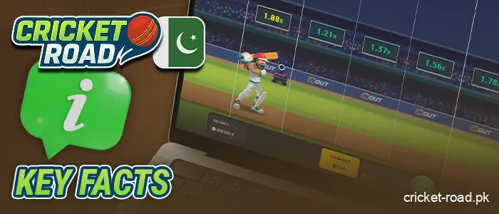 Details about Cricket Road game in Pakistan